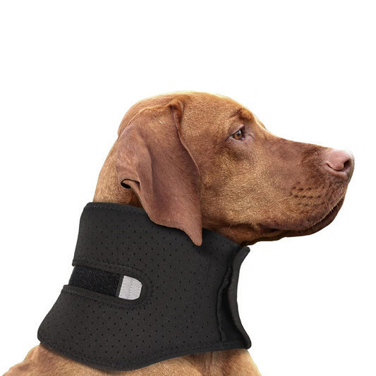 NeckSure - Brace Collar for Injury Recovery, Arthritis, Post-Surgery Protection