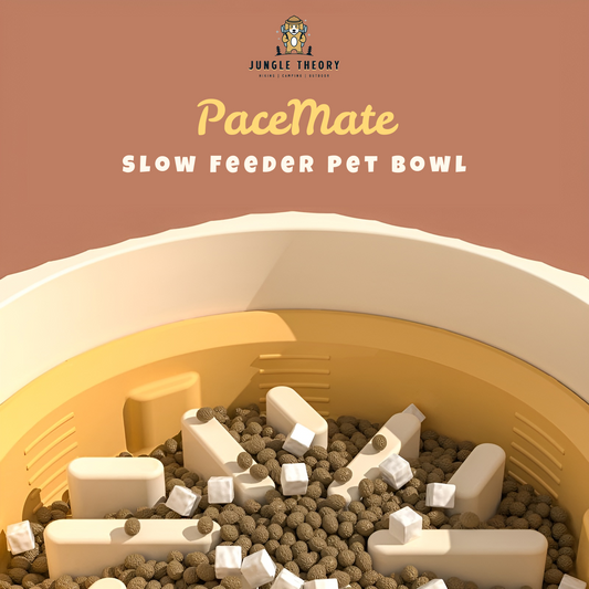 PaceMate 2-in-1 Slow Feeder Dog Bowl