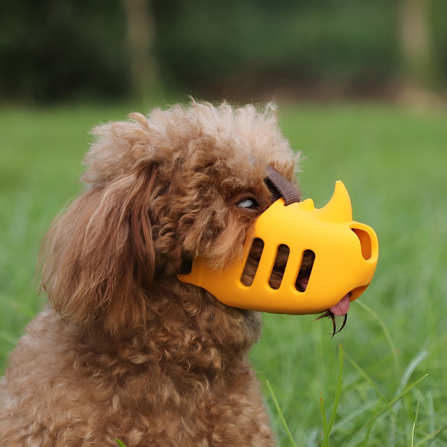 Silicone Rhino Muzzle | Mouth Cover, Anti-bite Muzzle for Dogs