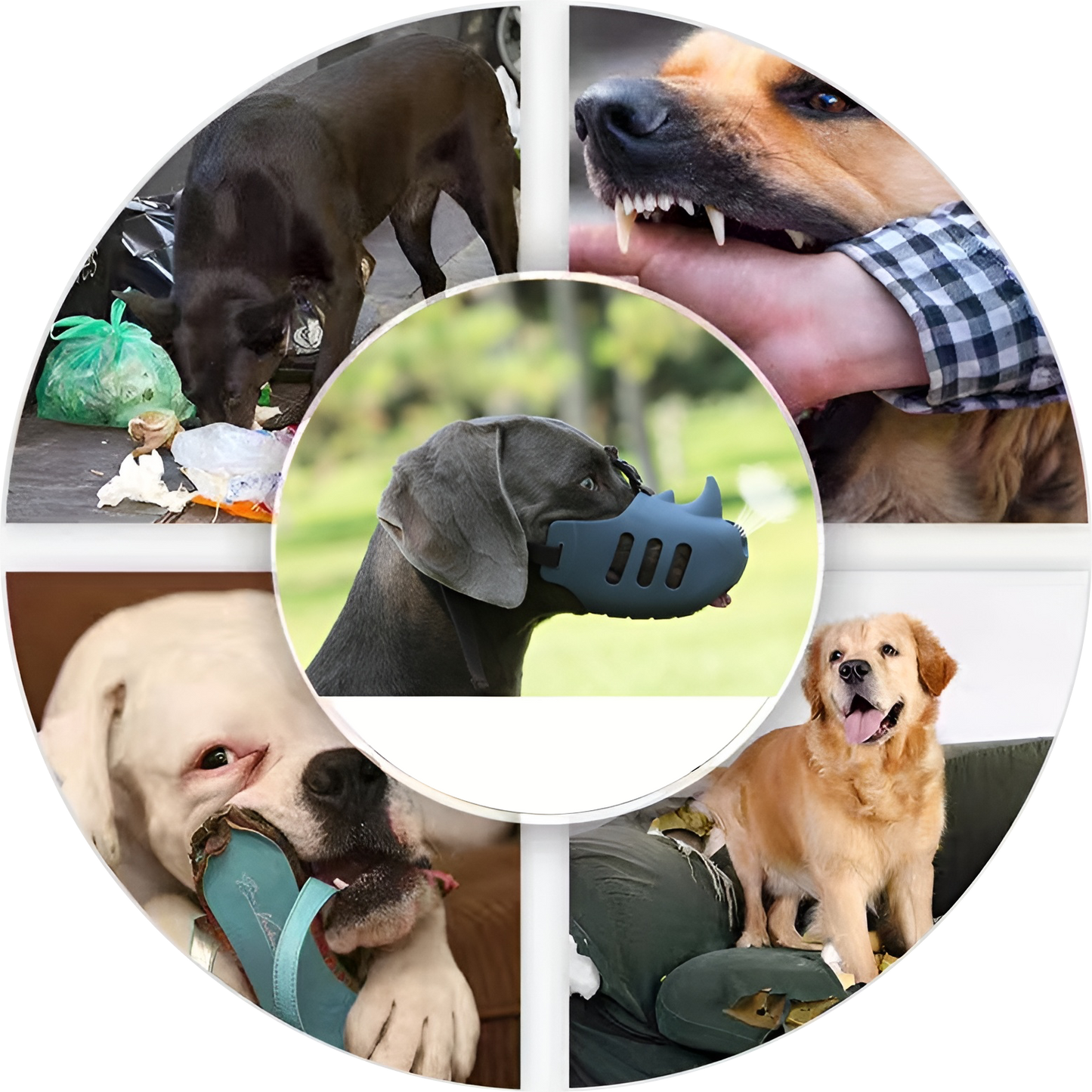 Silicone Rhino Muzzle | Mouth Cover, Anti-bite Muzzle for Dogs