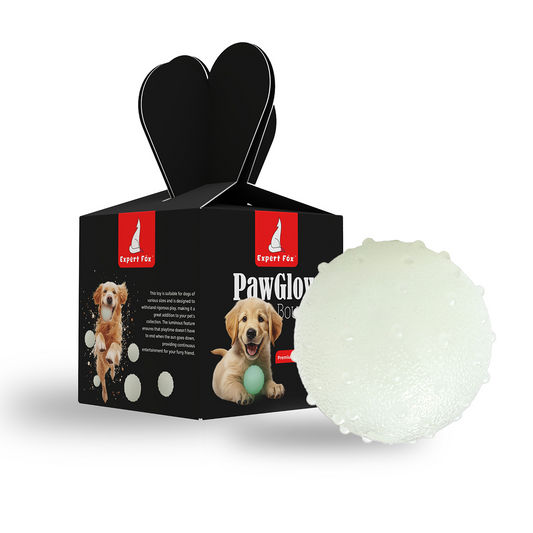 PawGlow Bounce – Luminous Bouncy Chew Ball Pet Toy