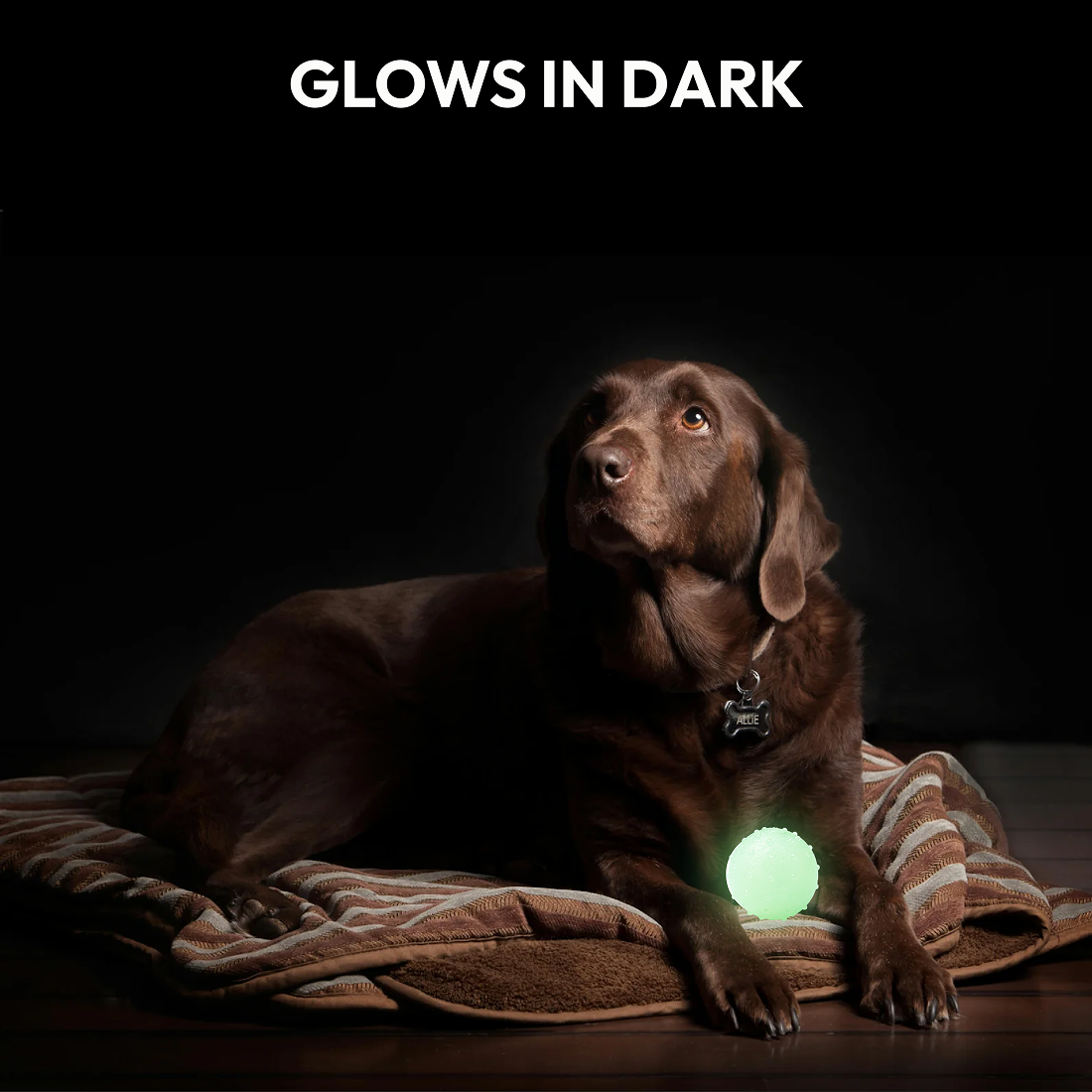 PawGlow Bounce – Luminous Bouncy Chew Ball Pet Toy