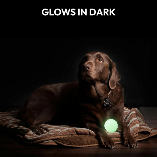 PawGlow Bounce – Luminous Bouncy Chew Ball Pet Toy