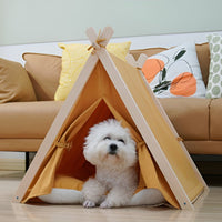Phoenix - Shih Tzu