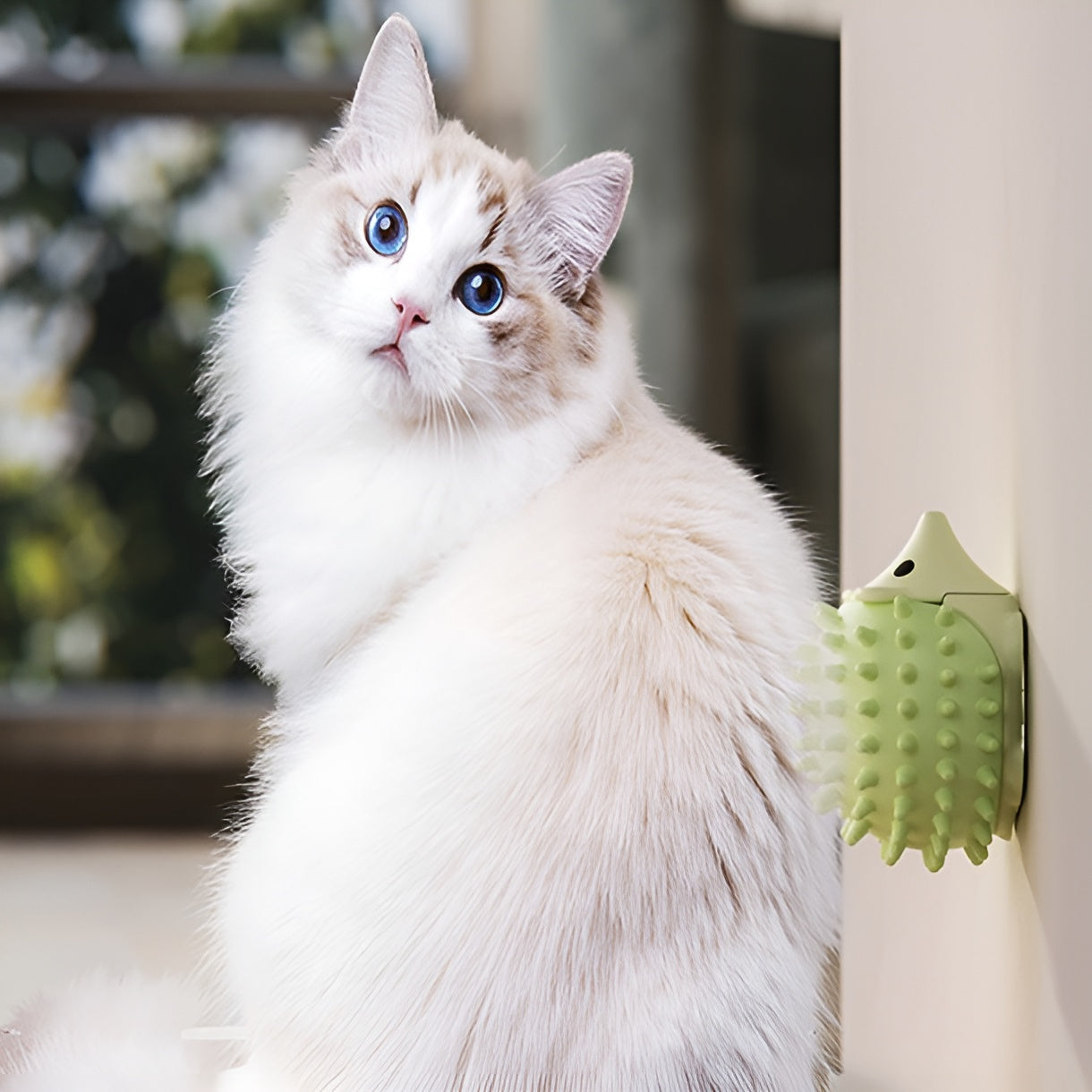 HogPals Hedgehog Cat Toy Set – Interactive Catnip infused