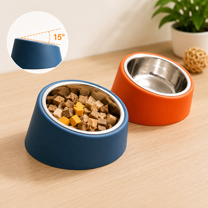 EatRight Anti-Choking Tilted Stainless Steel Pet Bowl