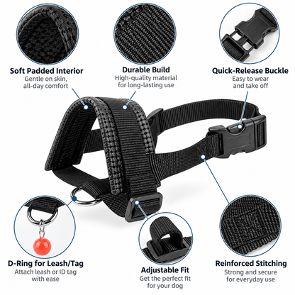 Jungle Theory Breathable AirMuzzle