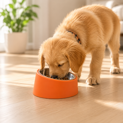 EatRight Anti-Choking Tilted Stainless Steel Pet Bowl