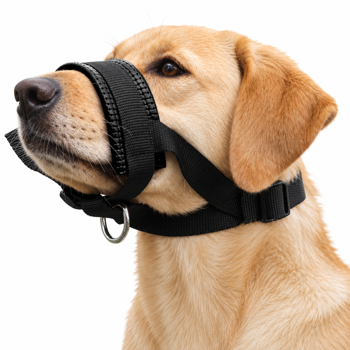 Jungle Theory Breathable AirMuzzle