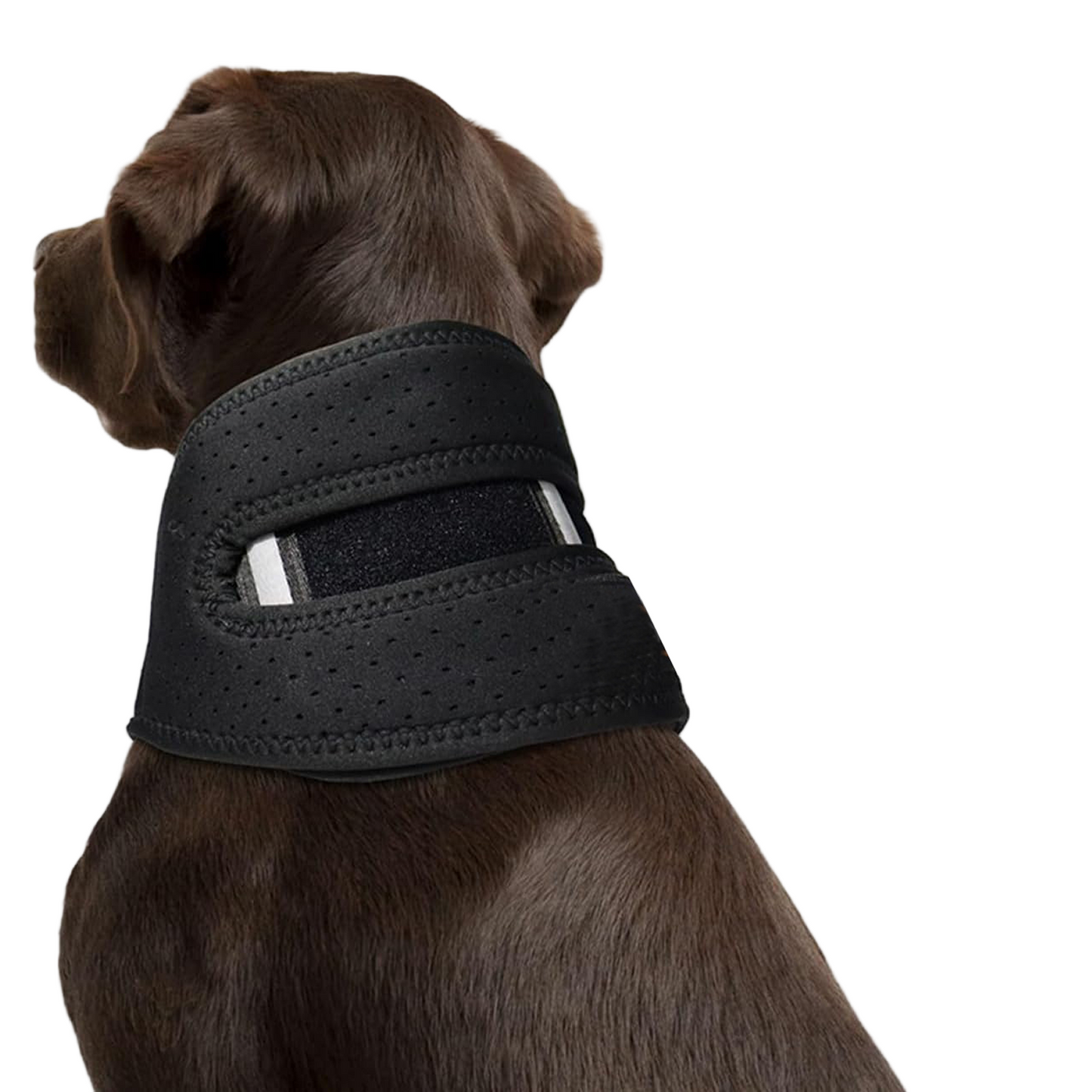 NeckSure - Brace Collar for Injury Recovery, Arthritis, Post-Surgery Protection
