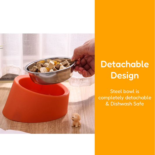 EatRight Anti-Choking Tilted Stainless Steel Pet Bowl