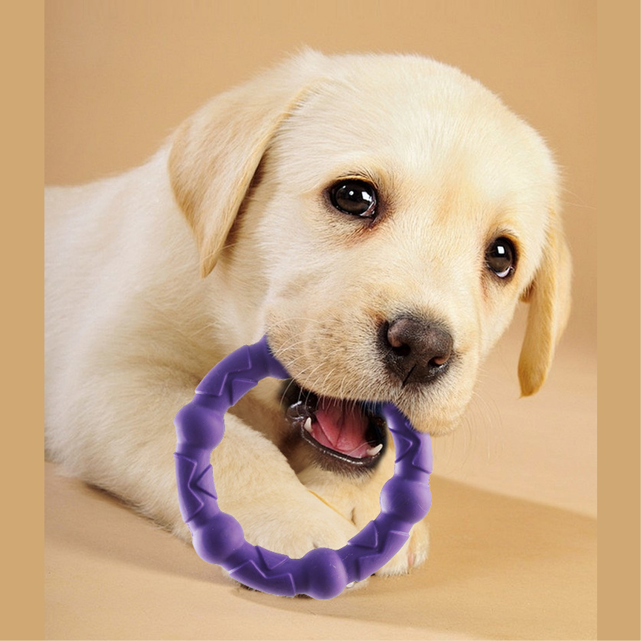 TuggLoop Rings Chew Toy for Puppies and Dogs