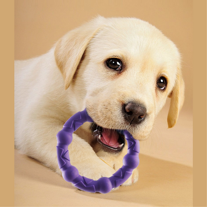 TuggLoop Rings Chew Toy for Puppies and Dogs