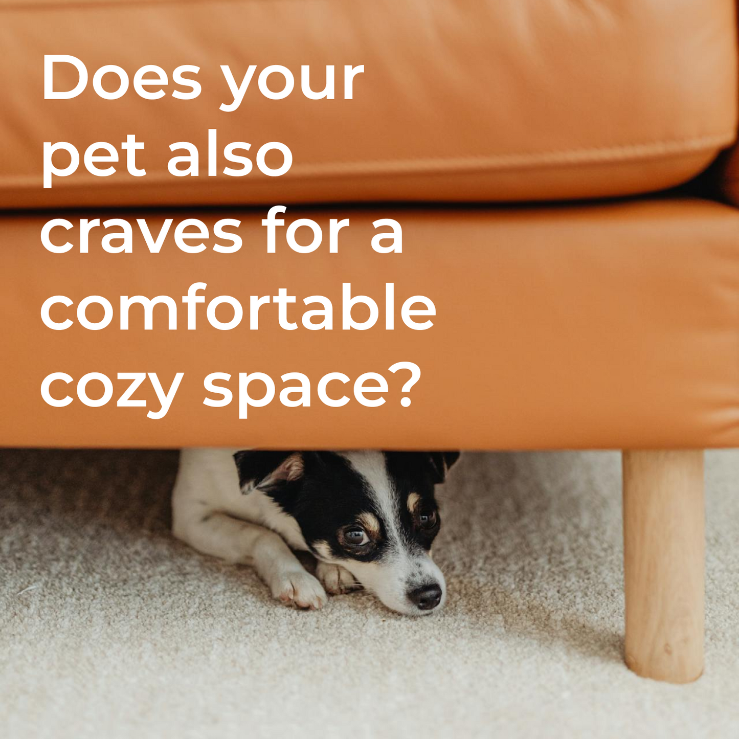 DreamDen™ Indoor Pet Tent | Stylish Home Décor Pet House