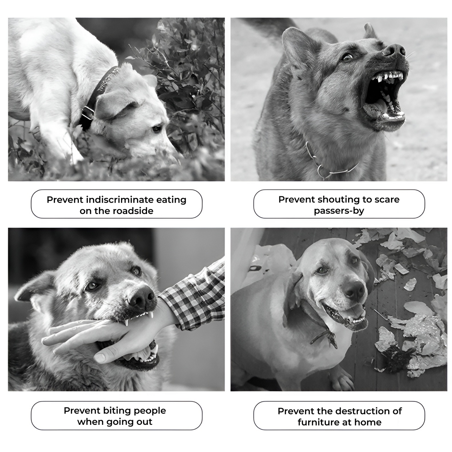 BarkShield Breathable Muzzle for Dogs