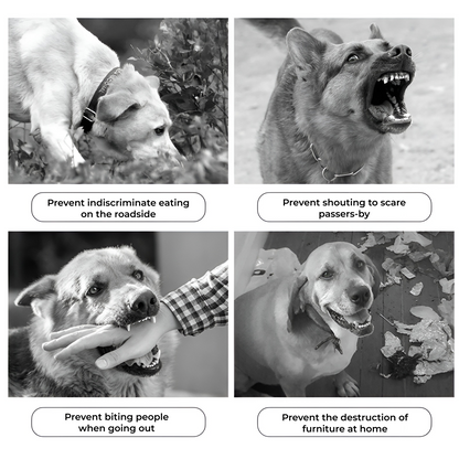 BarkShield Breathable Muzzle for Dogs