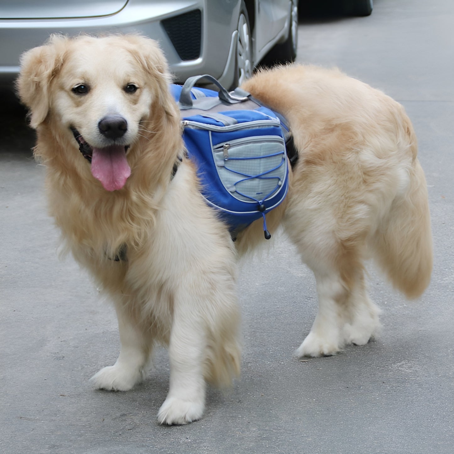 TailTrek Pet Saddle Backpack for Hiking, Camping & Outdoor