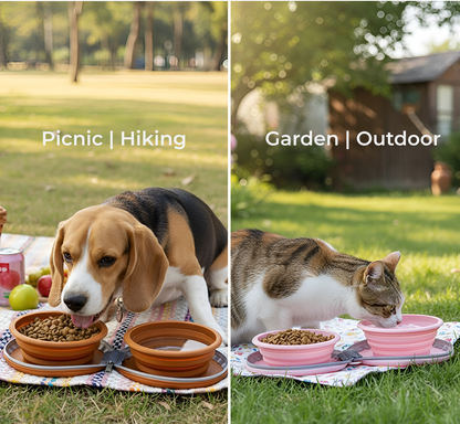 TravelTwin Collapsible Pet Feeder bowl with Zipper Carrying Case