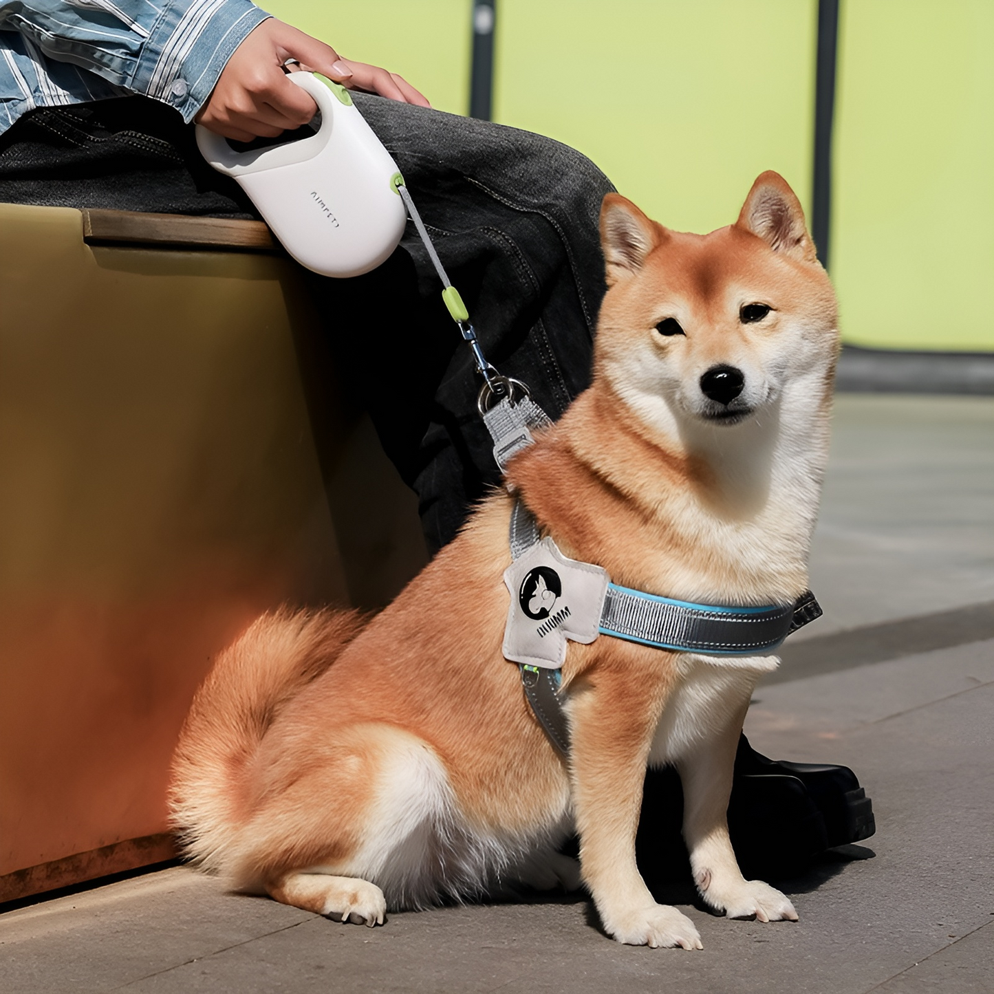 IVOR Minimal Retractable Dog Leash - Coastal Dusk