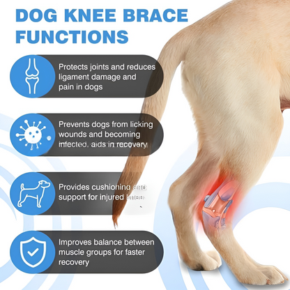 ZoomBrace – Knee Brace for Injury Recovery, Arthritis Relief & Joint Support