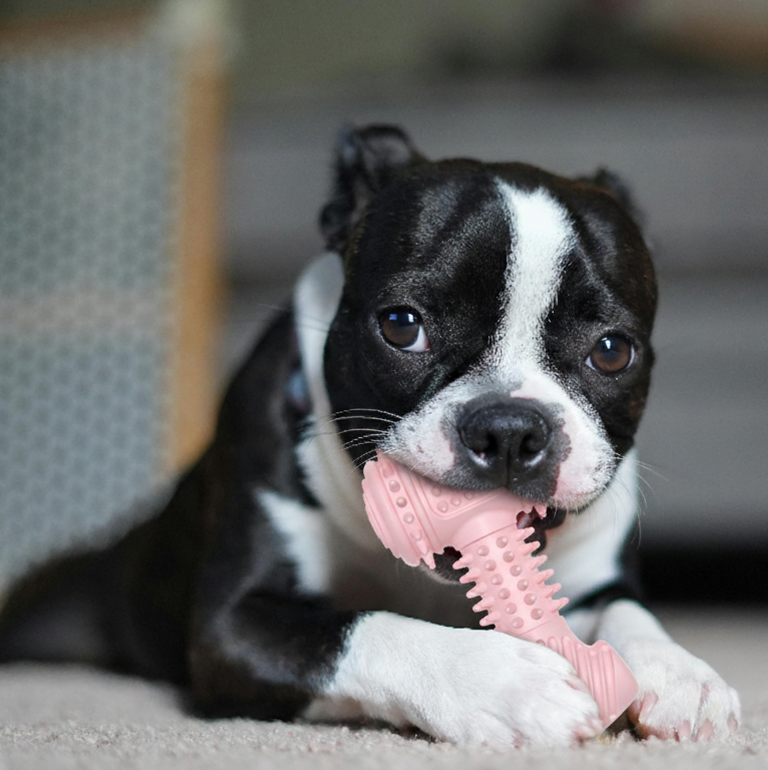 Tuffchew Hammer Durable Dog Toy