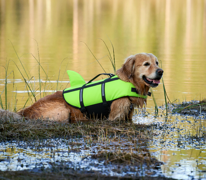 SwimSecure Dog Flotation Swimming Vest
