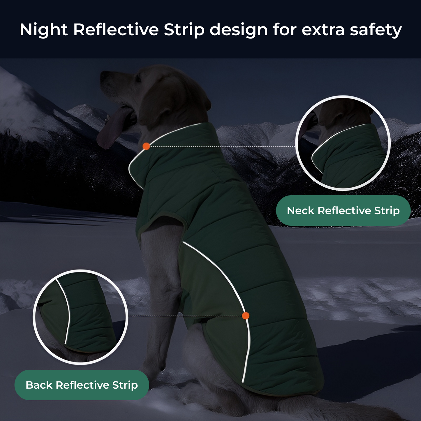 ArcticPaw Winter Jacket