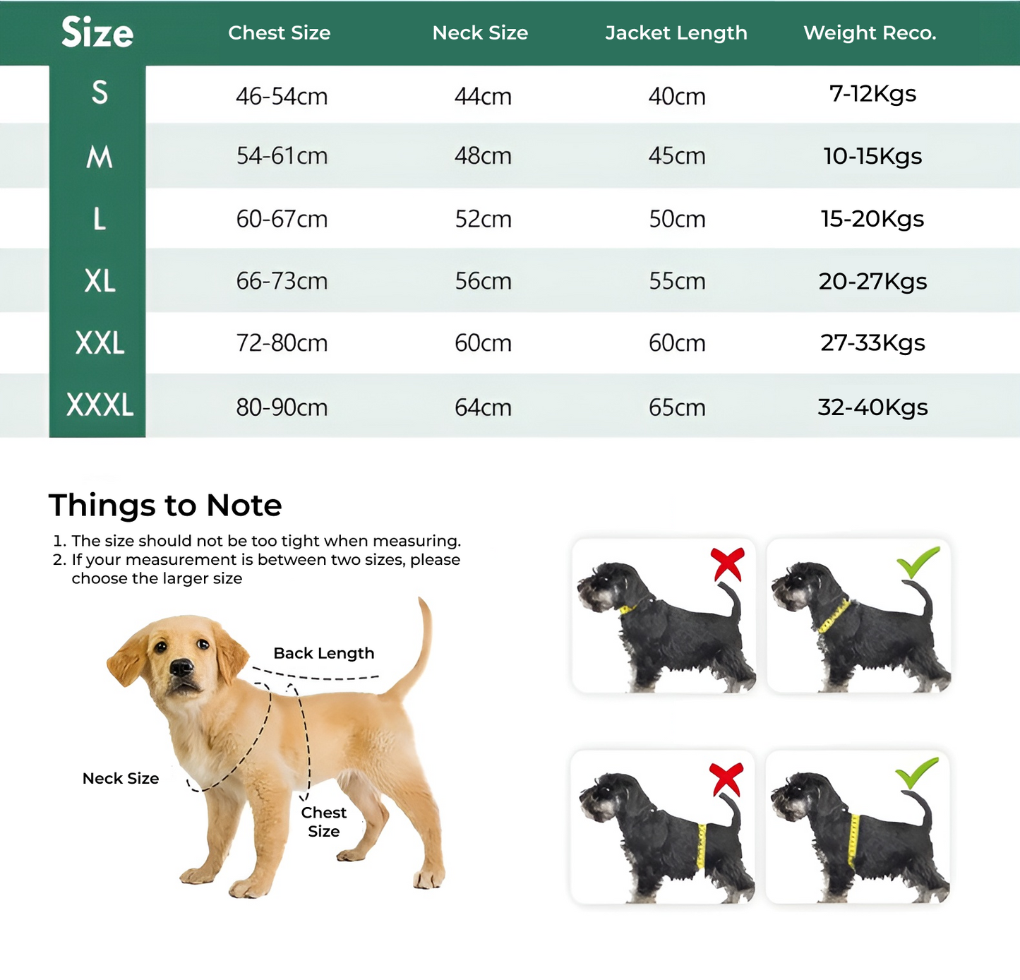 ArcticPaw Winter Jacket