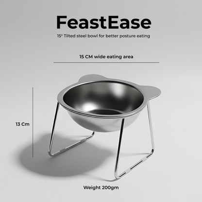 FeastEase 15° Elevated Stainless Steel Feeding Bowl for Cats