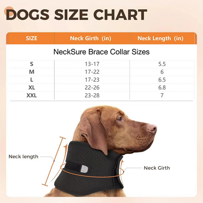 NeckSure - Brace Collar for Injury Recovery, Arthritis, Post-Surgery Protection