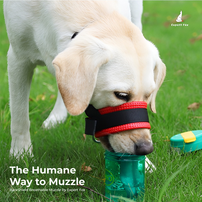 BarkShield Breathable Muzzle for Dogs