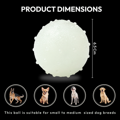 PawGlow Bounce – Luminous Bouncy Chew Ball Pet Toy