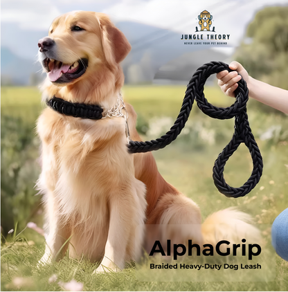 AlphaGrip Braided Dog Leash - Collar Set
