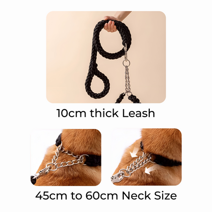 AlphaGrip Braided Dog Leash - Collar Set