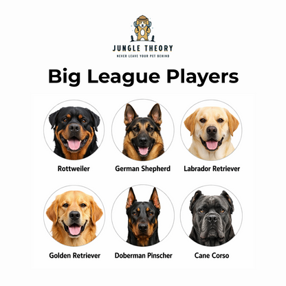 AlphaGrip Braided Dog Leash - Collar Set