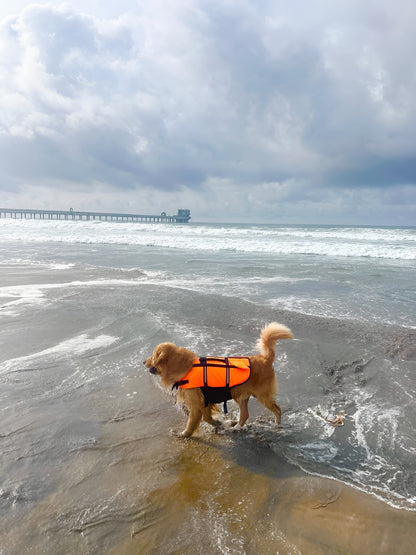 SwimSecure Dog Life Jacket & Swimming Vest