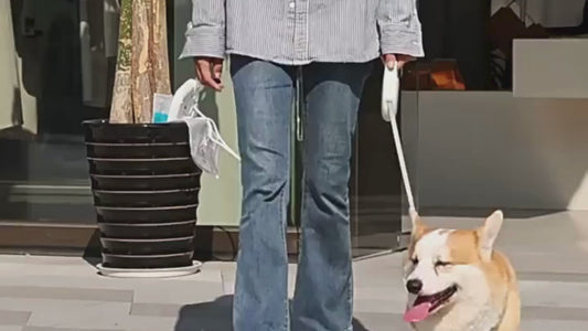 IVOR Minimal Retractable Dog Leash - Ivory Moss
